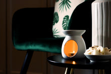 Load image into Gallery viewer, Freckleface Wax Melts