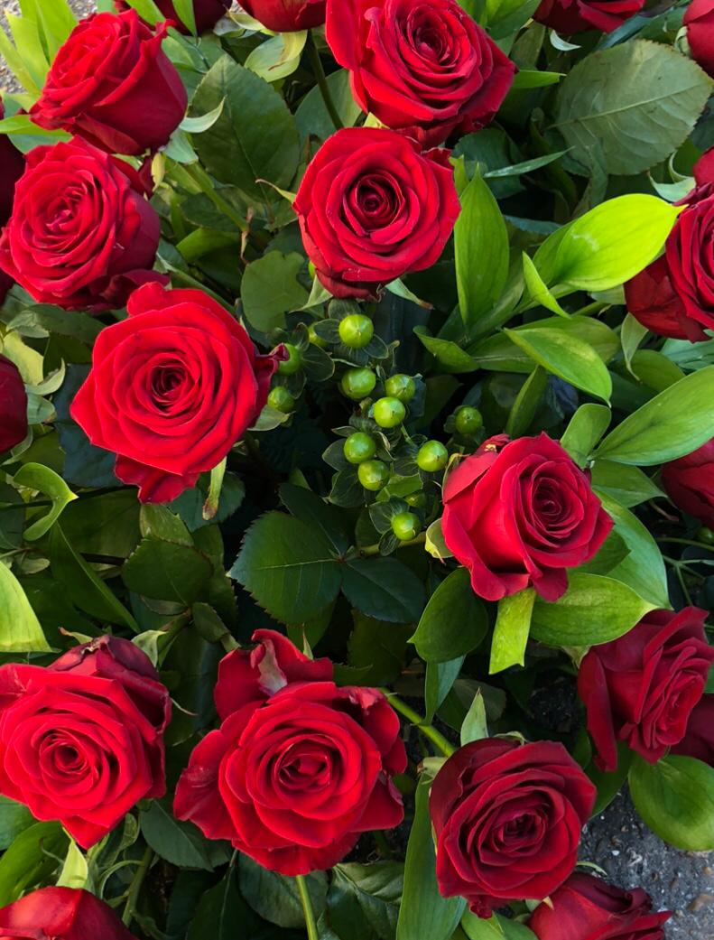 Red Rose Casket Spray