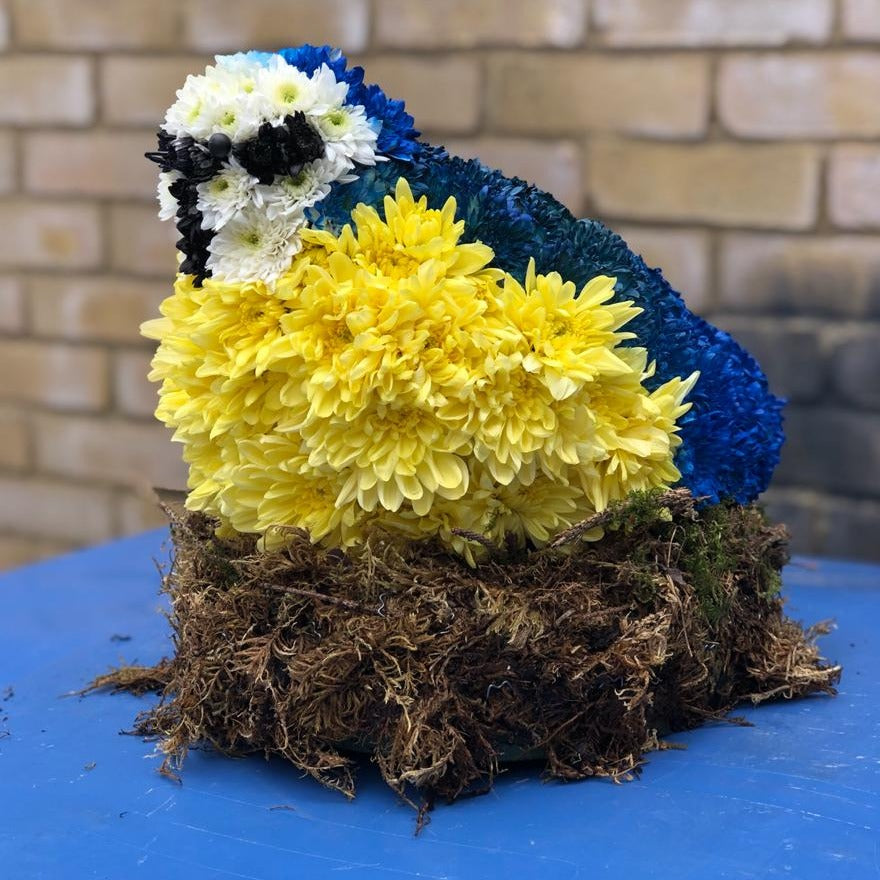 Blue Tit