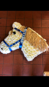 Horses Head